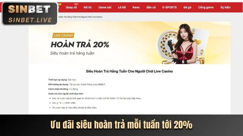 Biểu ngữ hoàn trả cược hàng tuần cho cá cược thể thao 555win12